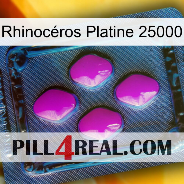 Rhinocéros Platine 25000 04